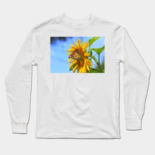 Monarch Butterfly closeup on a yellow Kansas Sunflower. Long Sleeve T-Shirt